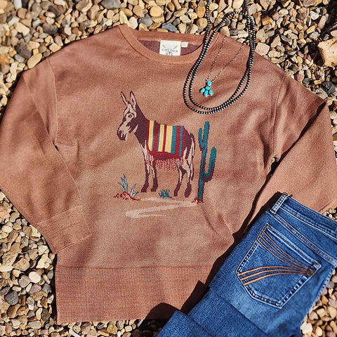 rust sweater with mexican donkey on the front standing next to a cactus 