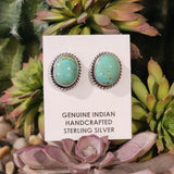 Kingman turquoise circle studs 