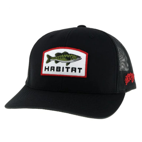 Habitat Black Snapback Cap by Hooey