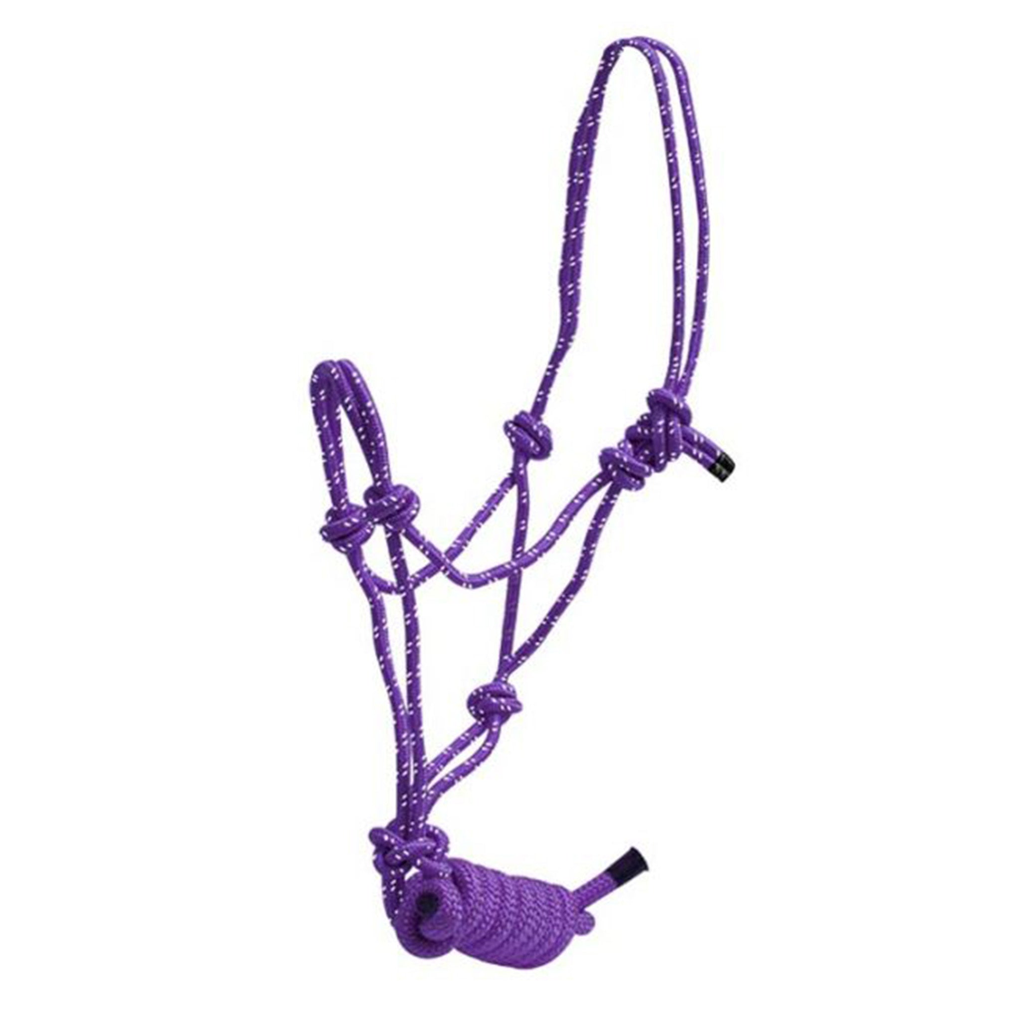 Non Adjustable Small Halter Purple - Frontier Western Shop