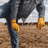 Heavy Cowhide Gloves